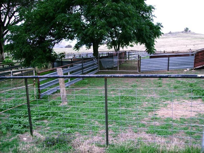 Lot 205/630 Clements Road, Lyndhurst NSW 2350