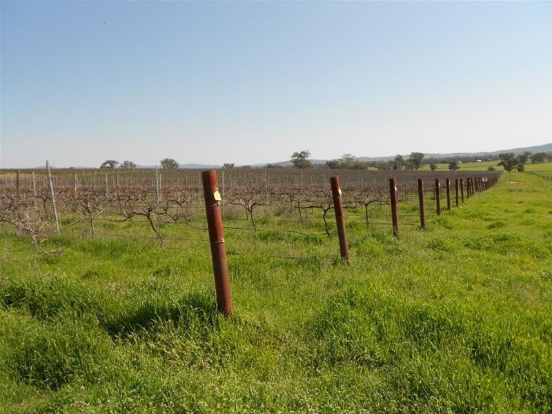 1166 Fish Fossil Drive, Canowindra NSW 2804