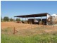1166 Fish Fossil Drive, Canowindra NSW 2804