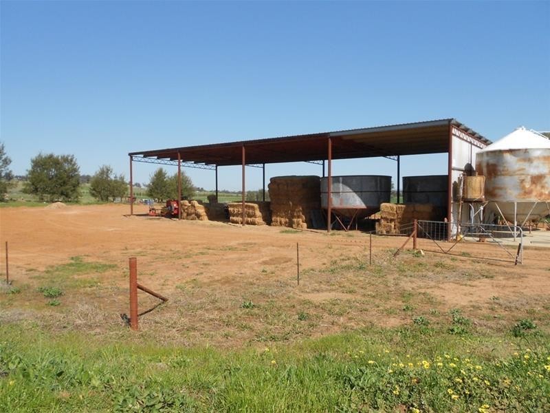 1166 Fish Fossil Drive, Canowindra NSW 2804