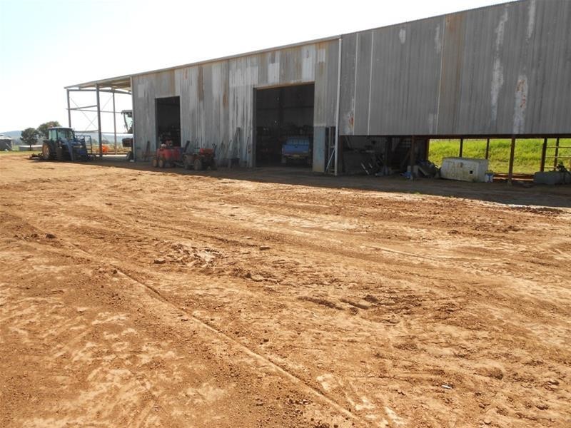 1166 Fish Fossil Drive, Canowindra NSW 2804