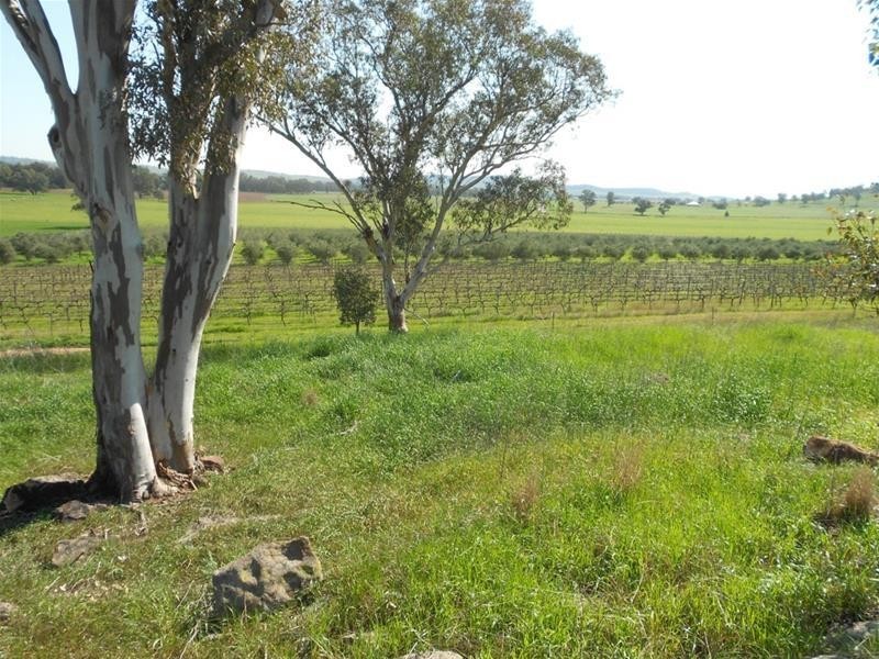 1166 Fish Fossil Drive, Canowindra NSW 2804