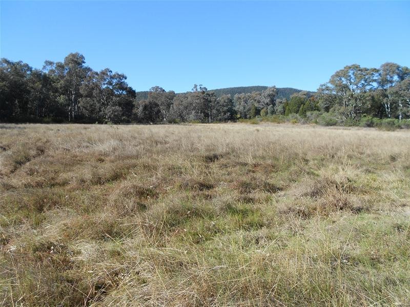 209 Blue Mantle Road, Wyangala NSW 2808