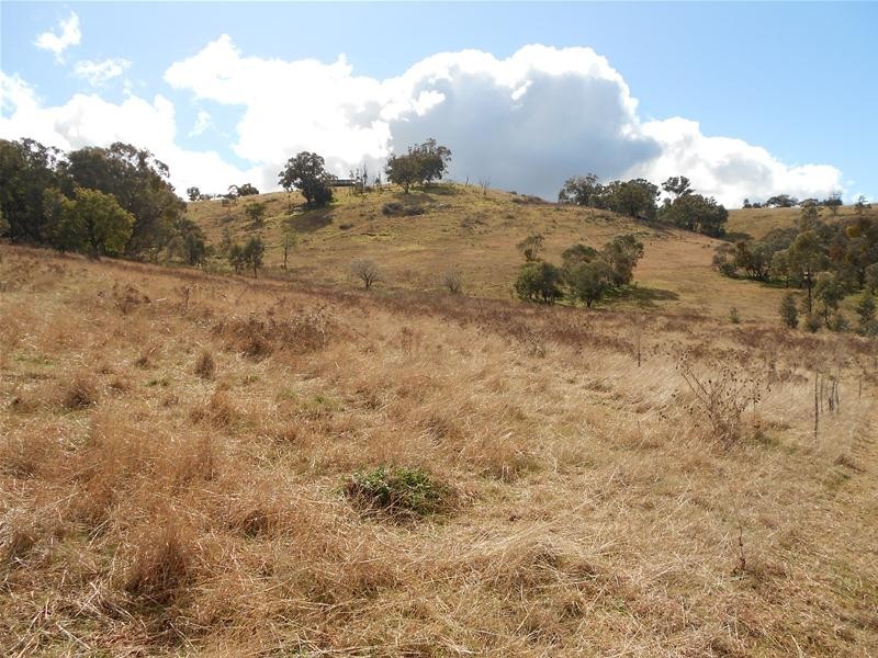 209 Blue Mantle Road, Wyangala NSW 2808