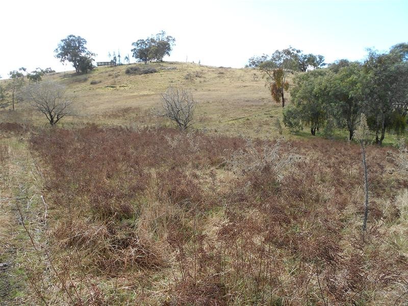 209 Blue Mantle Road, Wyangala NSW 2808