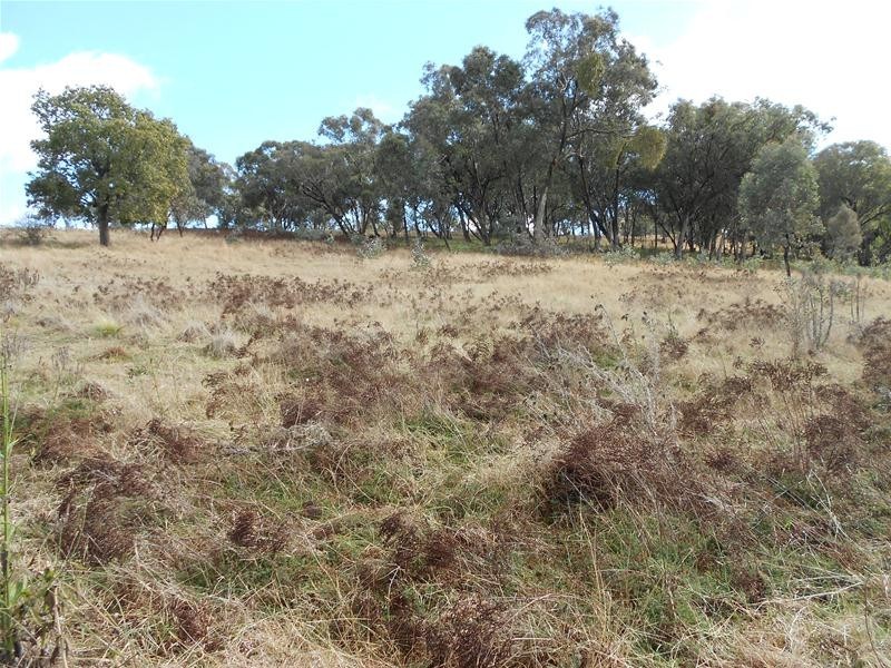 209 Blue Mantle Road, Wyangala NSW 2808