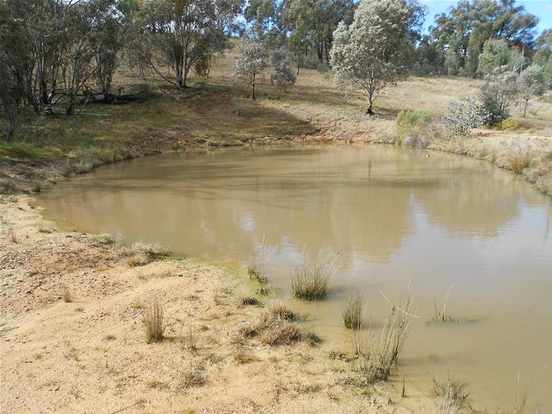 209 Blue Mantle Road, Wyangala NSW 2808