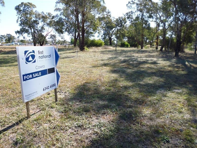 Lot 14, 39 Winslow Street, Koorawatha NSW 2807
