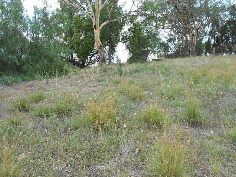 2 & 3 Main Street, Darbys Falls NSW 2793