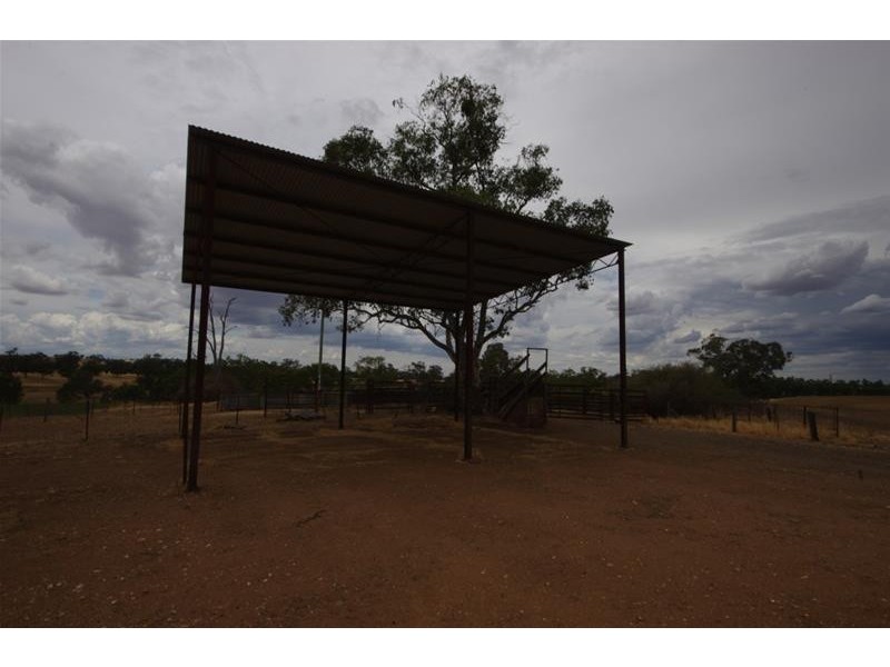 1 Campbell Street, Cowra NSW 2794