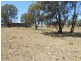 181 Elliotts Road, Cowra NSW 2794