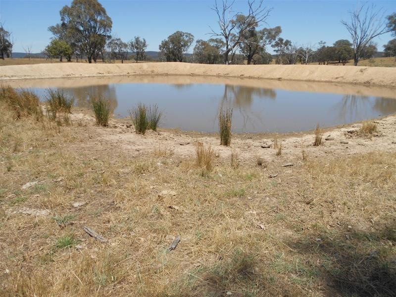 181 Elliotts Road, Cowra NSW 2794