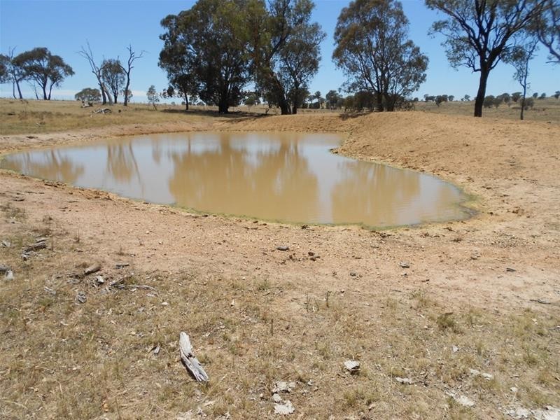 181 Elliotts Road, Cowra NSW 2794