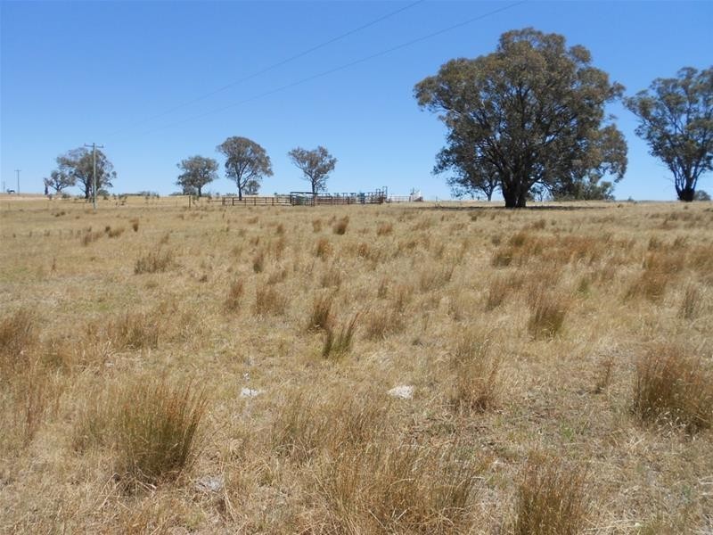 181 Elliotts Road, Cowra NSW 2794