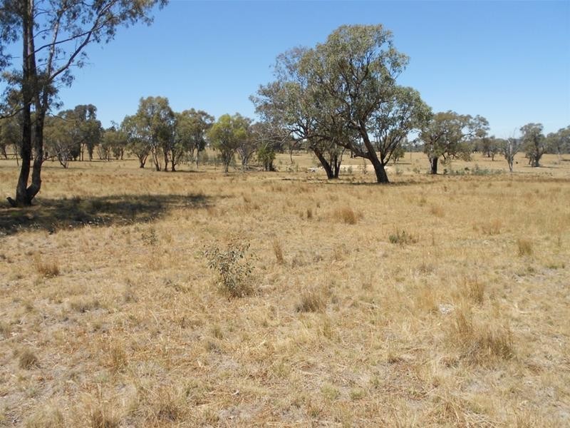 181 Elliotts Road, Cowra NSW 2794