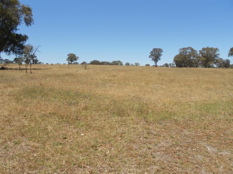 181 Elliotts Road, Cowra NSW 2794