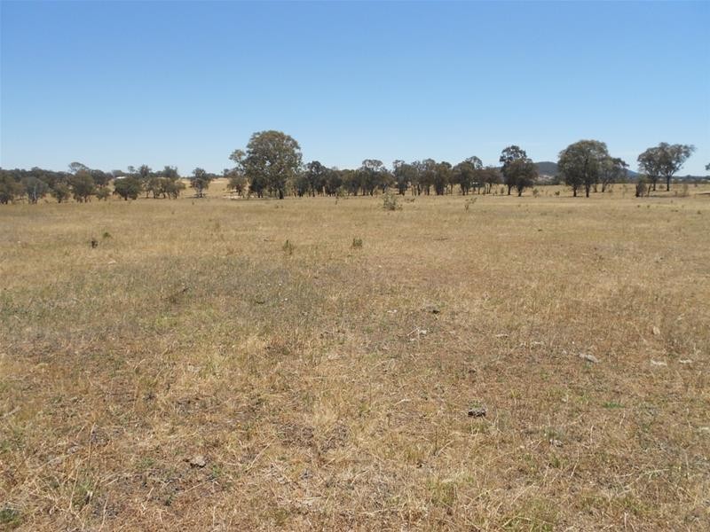 181 Elliotts Road, Cowra NSW 2794