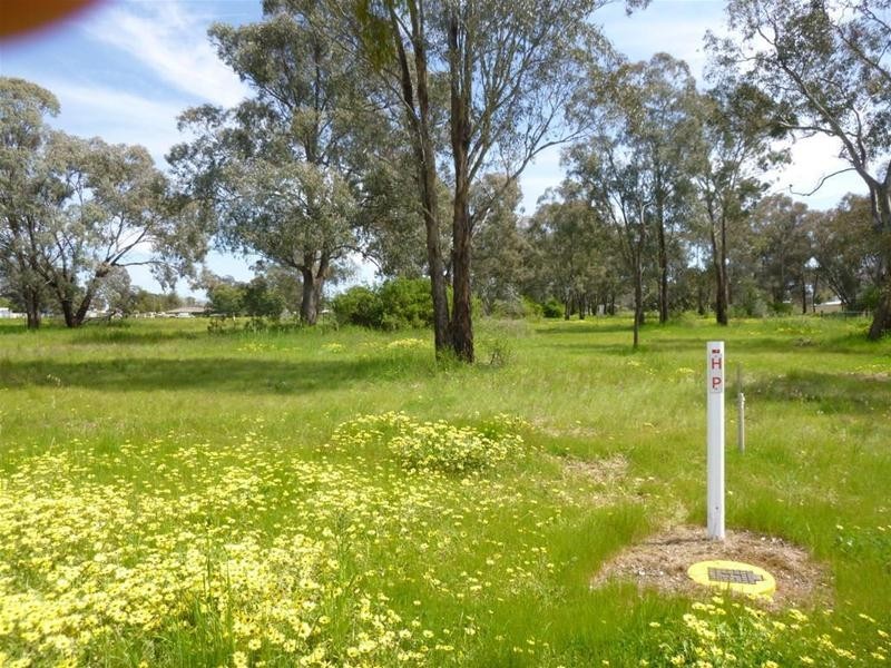 37 Lachlan Street, Koorawatha NSW 2807