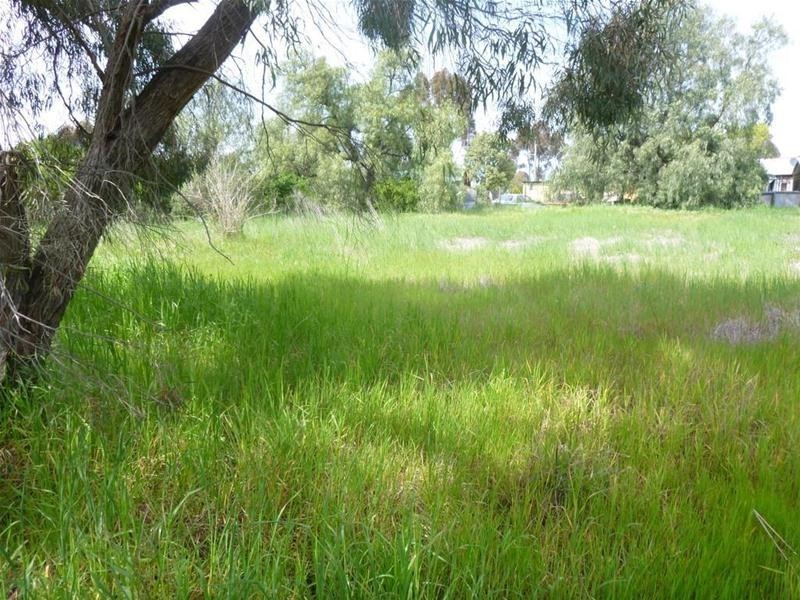 37 Lachlan Street, Koorawatha NSW 2807