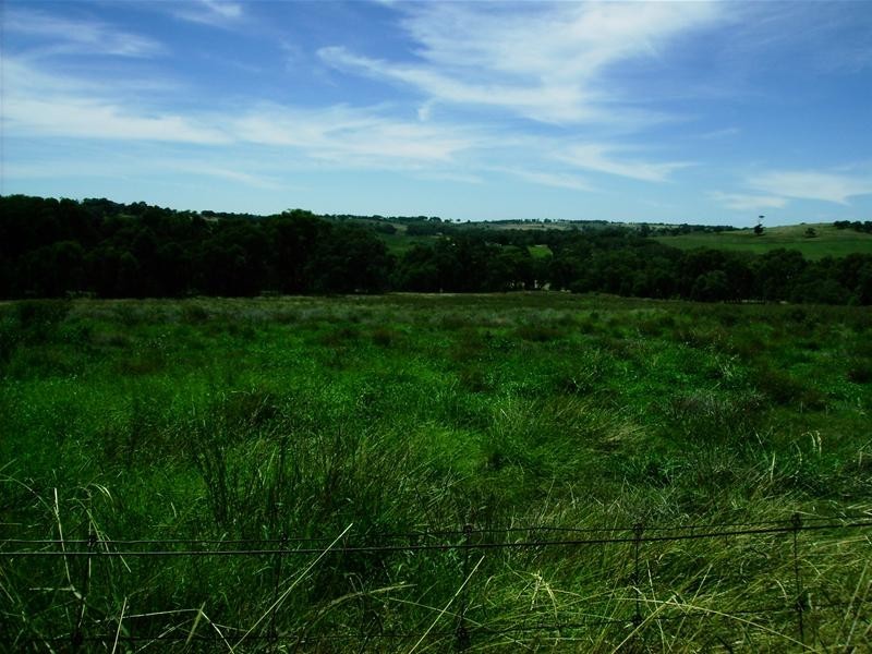 Grenfell Road, Cowra NSW 2794