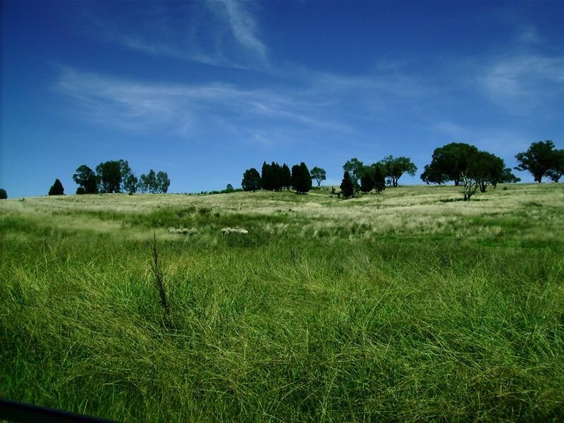 Grenfell Road, Cowra NSW 2794