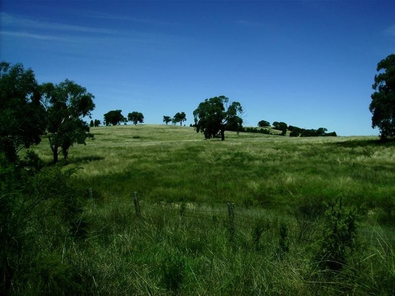 Grenfell Road, Cowra NSW 2794