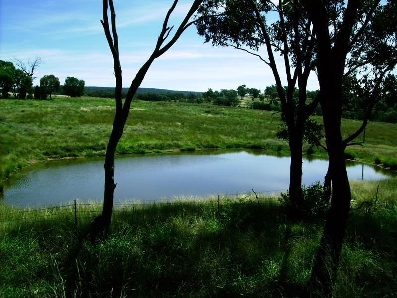 Grenfell Road, Cowra NSW 2794