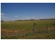 LOT 31 Calare Street, Cowra NSW 2794