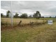 Lot 1, 1 Main Street, Gooloogong NSW 2805