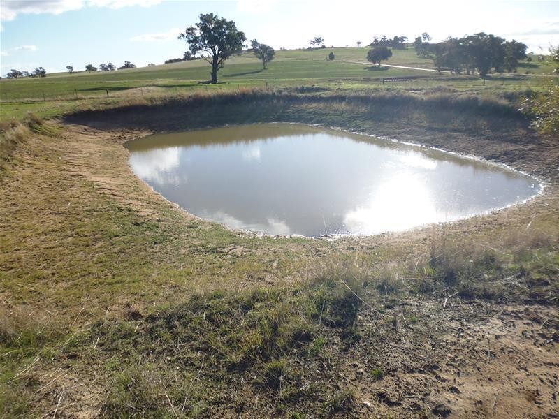 962 Pine Mount Road, Woodstock NSW 2793