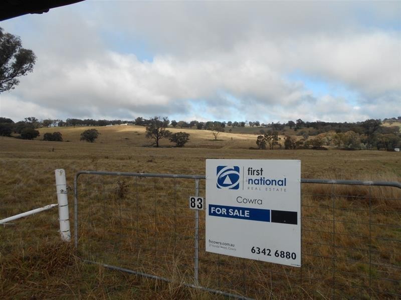 83 Horton Drive, Woodstock NSW 2793