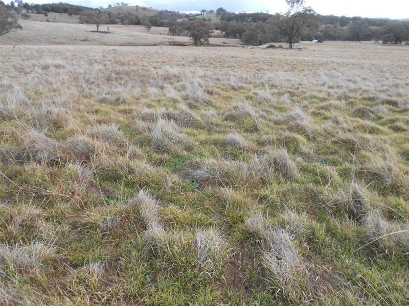 83 Horton Drive, Woodstock NSW 2793