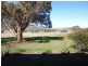 2102D Darbys Falls Road, Cowra NSW 2794