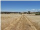 Lot 103, Lot 103 Kangaroo Flat Road, Cowra NSW 2794