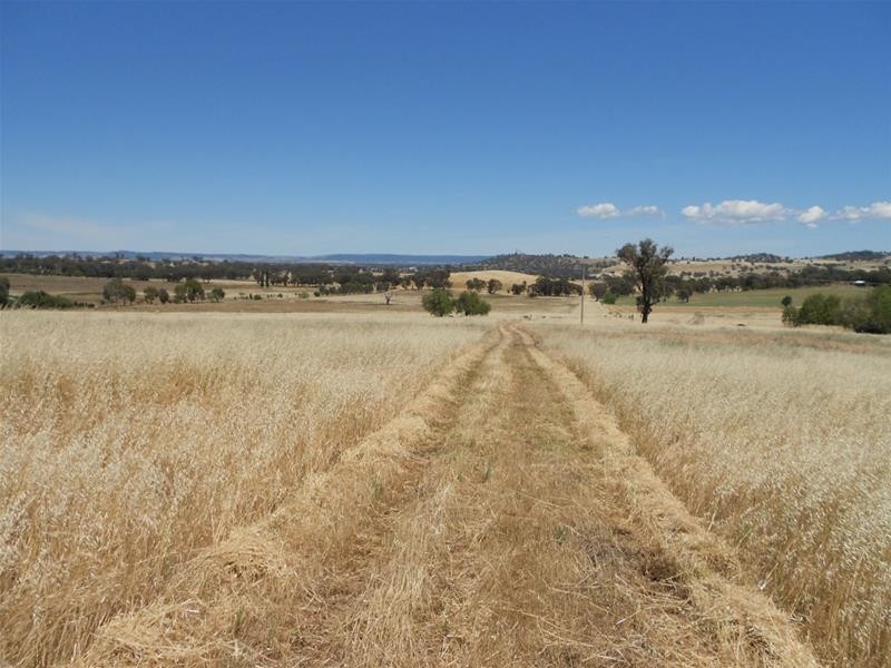 Lot 103, Lot 103 Kangaroo Flat Road, Cowra NSW 2794