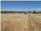 Lot 103, Lot 103 Kangaroo Flat Road, Cowra NSW 2794