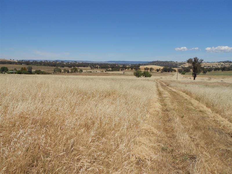 Lot 103, Lot 103 Kangaroo Flat Road, Cowra NSW 2794