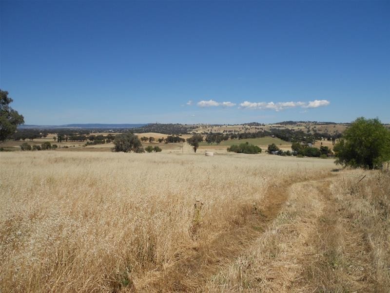 Lot 103, Lot 103 Kangaroo Flat Road, Cowra NSW 2794