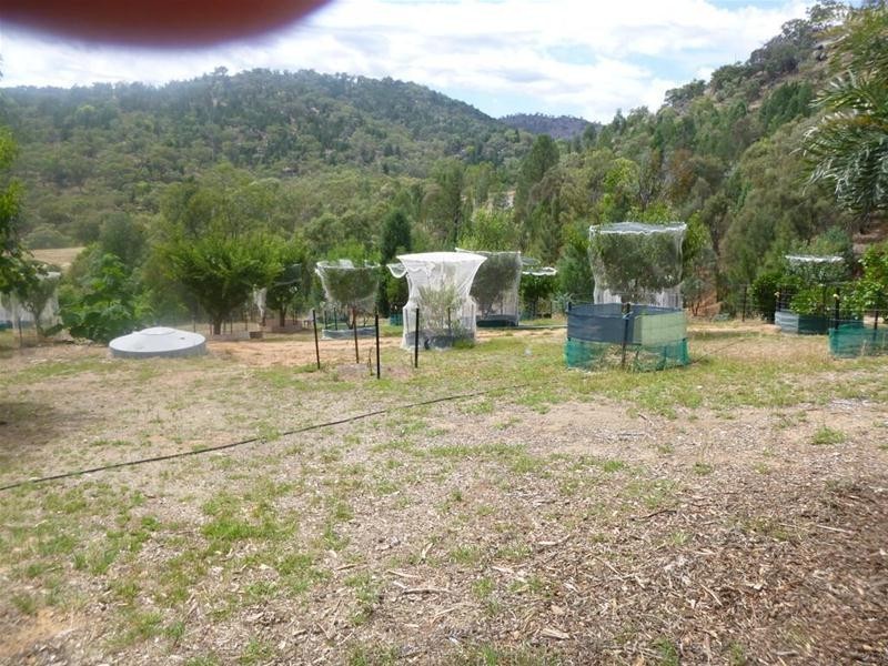 116 Lachlan Waters Road, Wyangala NSW 2808