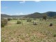 1235 Kangarooby Road, (Gooloogong) via, Cowra NSW 2794