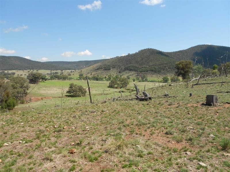 1235 Kangarooby Road, (Gooloogong) via, Cowra NSW 2794
