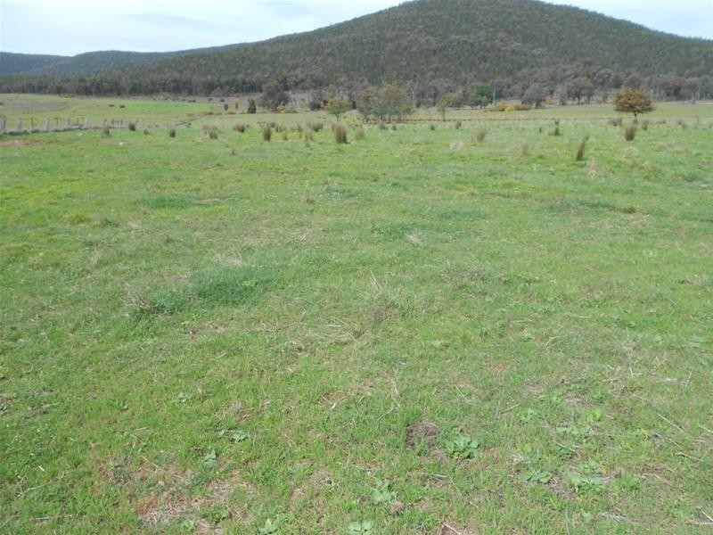 1235 Kangarooby Road, (Gooloogong) via, Cowra NSW 2794