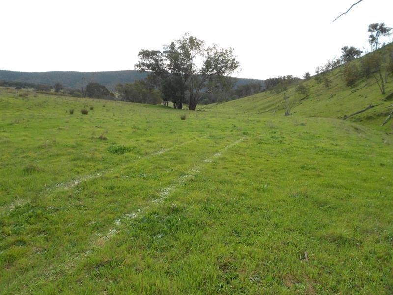 1235 Kangarooby Road, (Gooloogong) via, Cowra NSW 2794