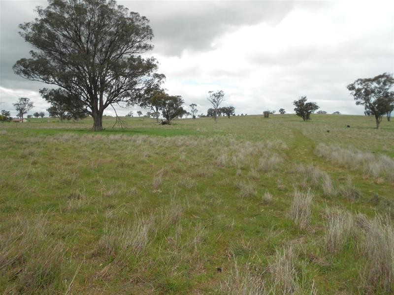 138 Cultowa Road, Billimari NSW 2804