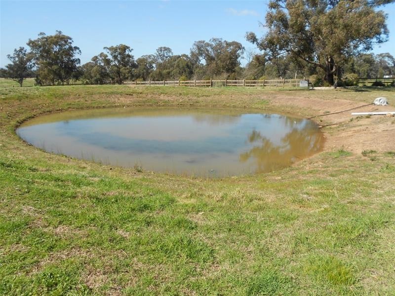 240 Conimbla Road, Cowra NSW 2794