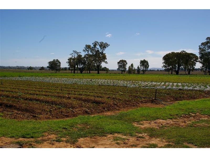 1826 North Logan Road, Cowra NSW 2794