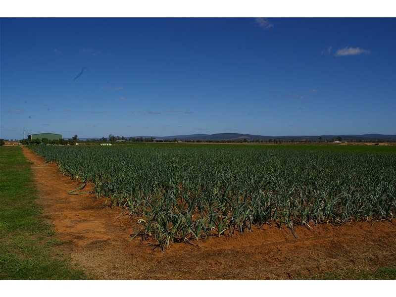 1826 North Logan Road, Cowra NSW 2794