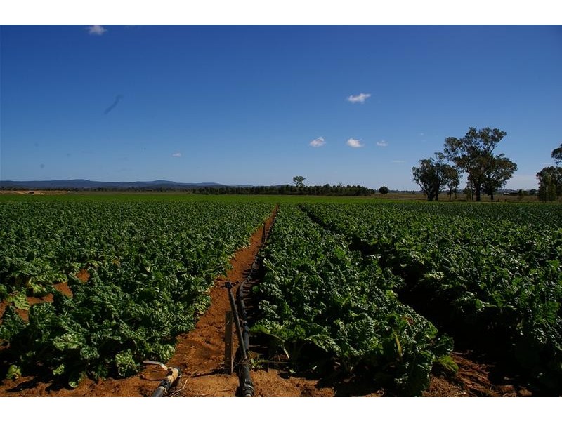 1826 North Logan Road, Cowra NSW 2794