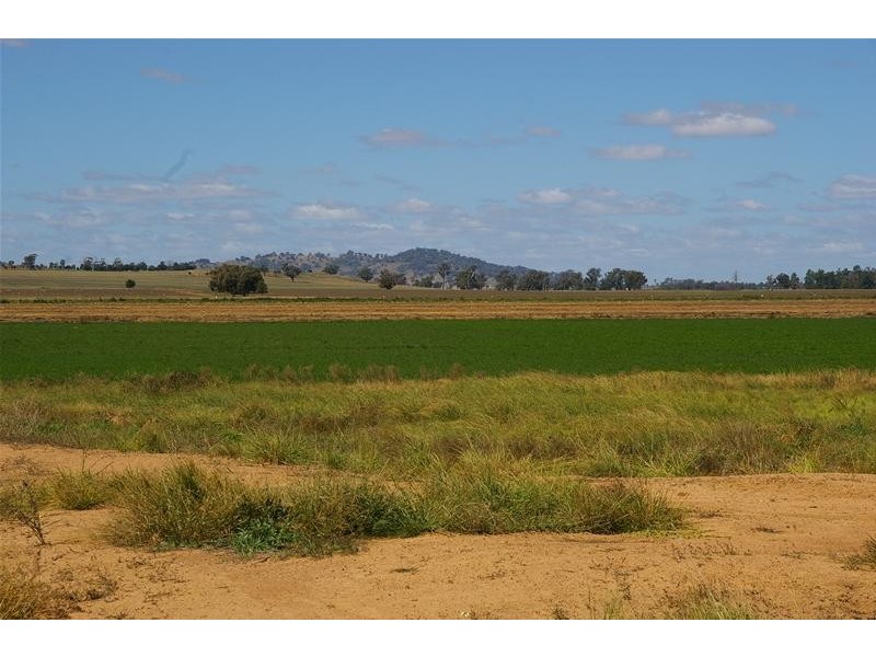 1826 North Logan Road, Cowra NSW 2794
