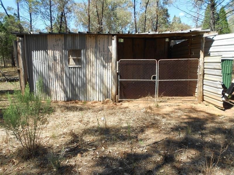 1642 Kangarooby Road, Gooloogong NSW 2805